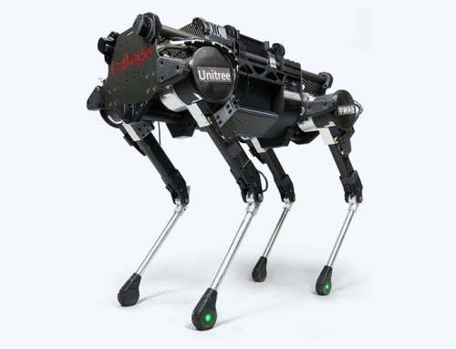 Cães ensinam cachorro-robô do Google a andar
