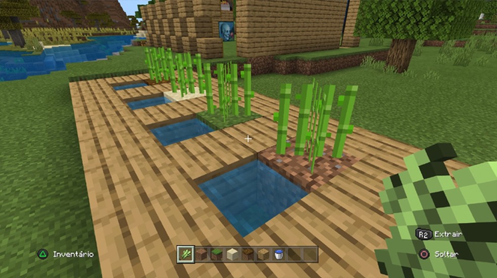 Saiba como plantar cana de açúcar no Minecraft