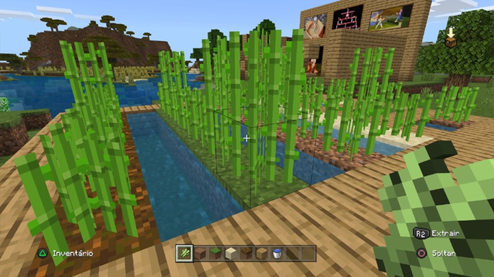 Saiba Como plantar cana de açúcar no Minecraft