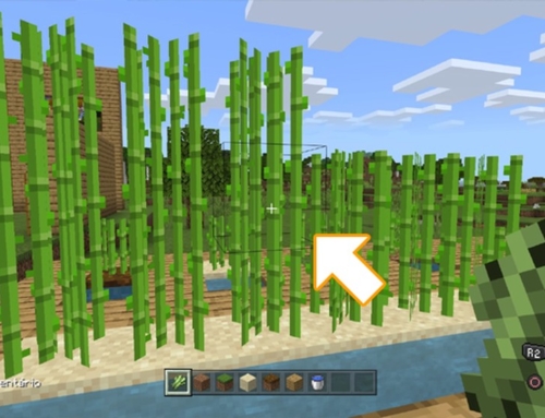 Saiba como plantar cana de açúcar no Minecraft